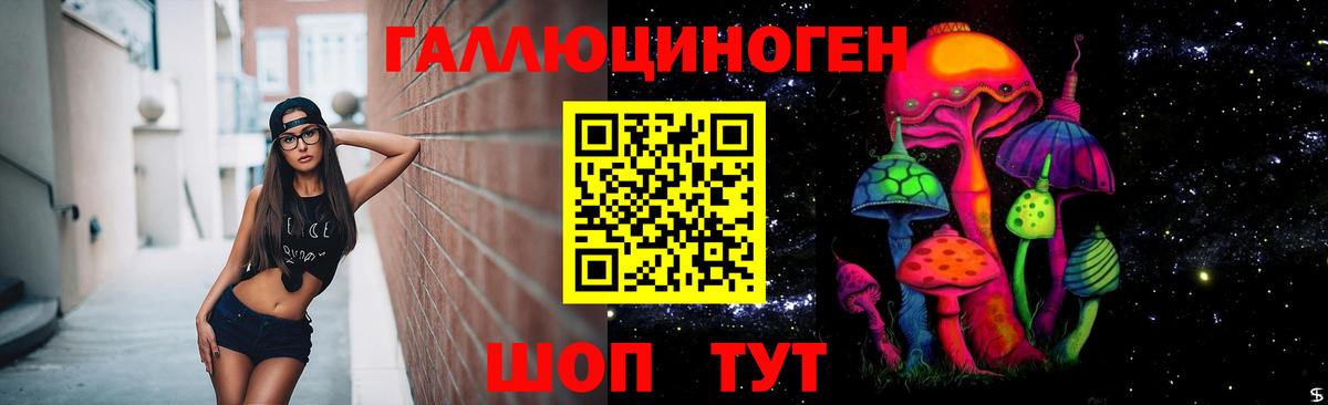 Галлюциногенные грибы Psilocybe Бузулук